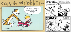 Calvin-&-Hobbes--Ignorance-
