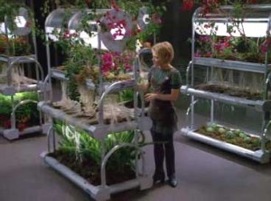 Kes in Aerponics bay on the USS Voyager